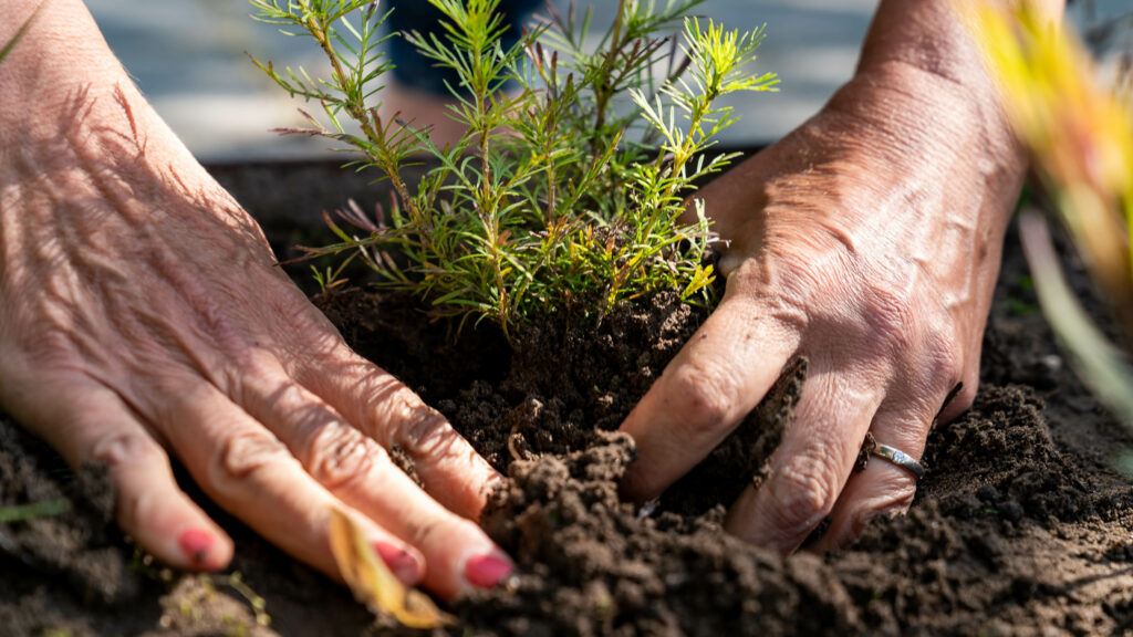 Afgraven of behouden? Wat je echt moet weten over de bodem in je nieuwbouwtuin